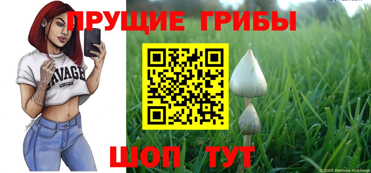 Шали  Галлюциногенные грибы прущие грибы  Вход с VPN  Псилоцибиновые грибы мухоморы 
